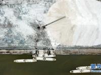  收获海盐