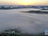  退耕还林二十年 黄土高坡现仙境