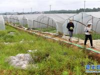  江西永新：积极开展灾后自救