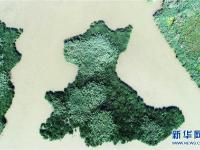  七里海湿地上的画卷