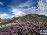  垭口：川藏公路上的观景台