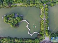  桂林湖光夏日美