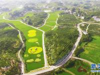  重庆忠县：彩色稻田扮靓美丽乡村