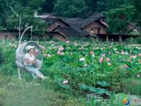 【醉美邵阳】邵阳县三门村：百亩荷花开盛夏