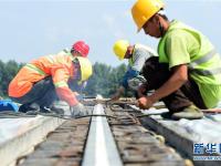  高温下的筑路工人