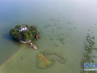  鄱阳湖水位超警戒