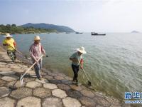  鄱阳湖水位超警戒