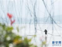  民间奇艺“一苇渡江”