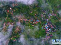  生态中国·多情苗山醉壮乡