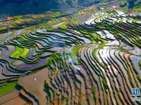  生态中国·多情苗山醉壮乡