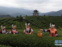  生态中国·多情苗山醉壮乡