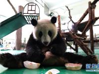  上海：动物园里的“清凉夏日”