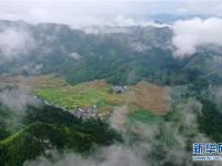  雾绕瑶山