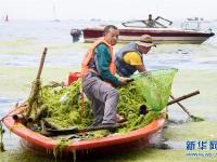  海岸环卫 保洁海滨