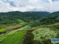  重庆丰都南天湖 高山秀色醉游人