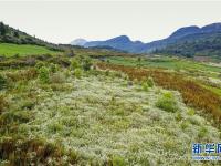  重庆丰都南天湖 高山秀色醉游人