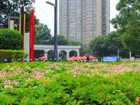 今日立秋  “炎值”会涨