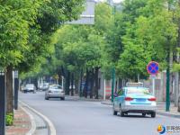 今日立秋  “炎值”会涨