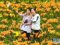  黑龙江伊春：消夏旅游热