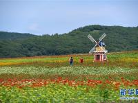  吉林长春：“畅游”花海