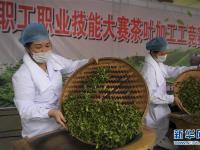  广西玉林：炒茶叶 赛技能