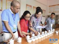  广西玉林：炒茶叶 赛技能