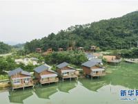  广西上思：农旅融合激发乡村活力