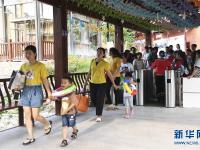  广西上思：农旅融合激发乡村活力