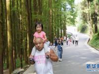  重庆南川：林中休闲觅清凉