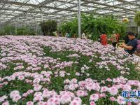  赏花游园过周末