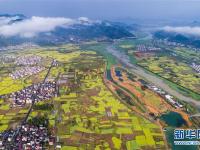  绿水青山入画来
