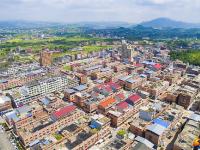 “南国药都”廉桥