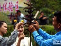 苗乡欢庆丰收节