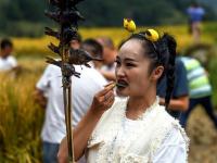  苗乡欢庆丰收节