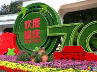鲜花扮靓城区 景观洋溢祝福