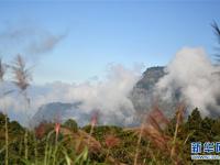  阿里山秋景如画