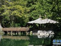  阿里山秋景如画