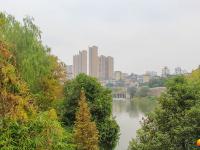 寒露时节秋意渐浓