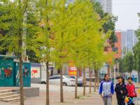 寒露时节秋意渐浓