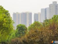 寒露时节秋意渐浓