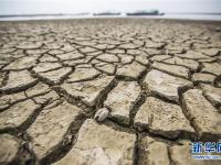  江西多地出现不同程度旱情