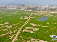  江西多地出现不同程度旱情