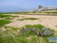  江西多地出现不同程度旱情