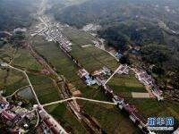  安徽岳西：高山茭白富农家