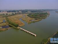  江苏徐州：黄河故道变身湿地公园