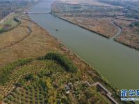  江苏徐州：黄河故道变身湿地公园