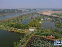  江苏徐州：黄河故道变身湿地公园
