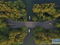  西湖秋韵