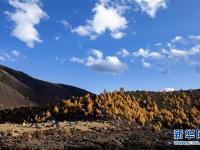  四川乡城：秋色如画