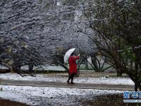  青海西宁迎来降雪